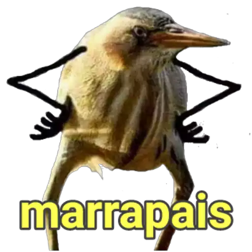 Figurinha: Pássaro Marrapais