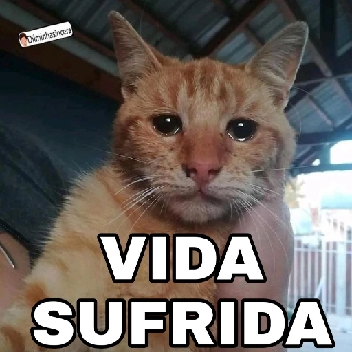 Figurinha: Gato com carinha de sofrimento