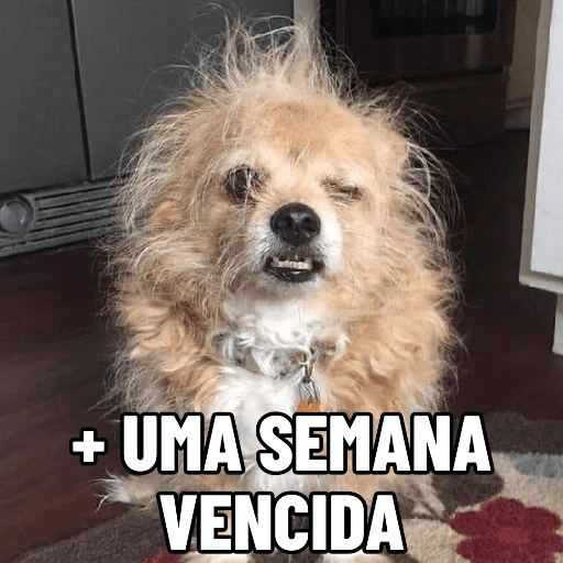Figurinha: Cachorro Cansado