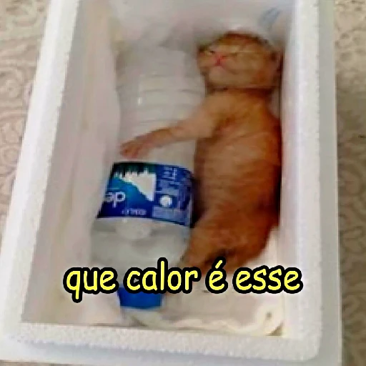 Figurinha: Gatinho com calor