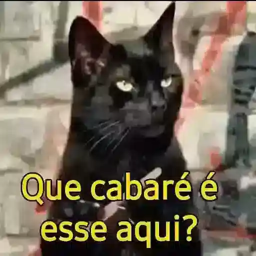 Figurinha: Gato preto pergunta "Que cabaré é esse?"
