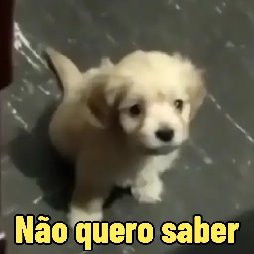 Figurinha: Cachorrinho diz "Não quero saber"