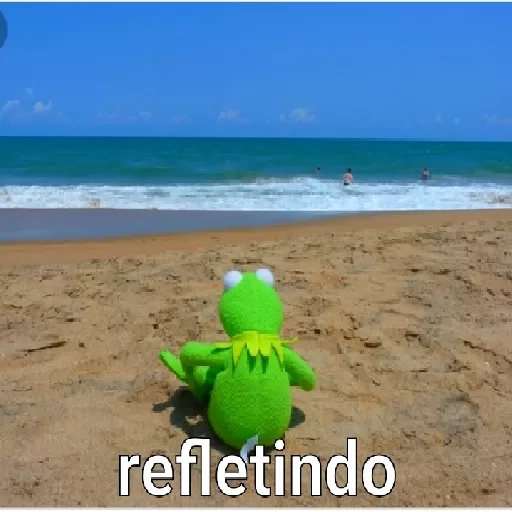 Figurinha: Sapo Kermit refletindo na praia