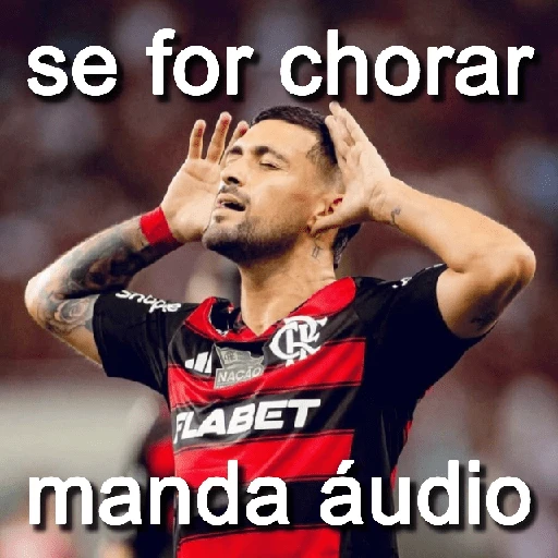 Figurinha: Se for chorar, manda áudio