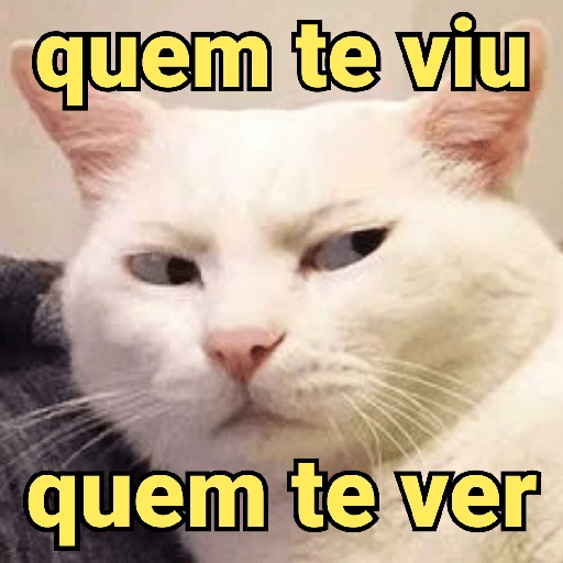 Figurinha: Gato Quem te Viu