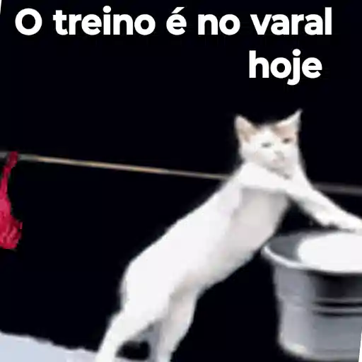 Figurinha: Gato no varal hoje