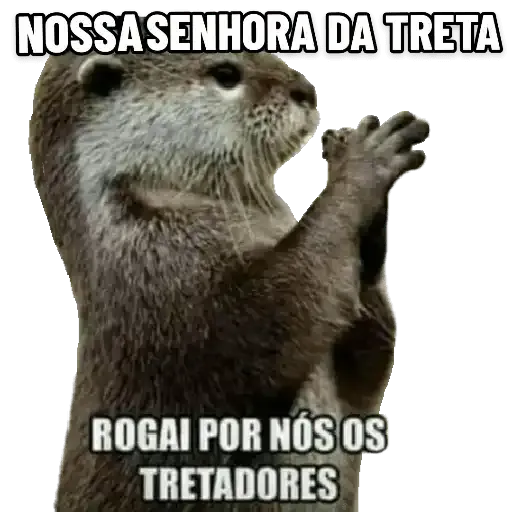 Figurinha: Nossa Senhora da Treta