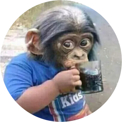 Figurinha: Macaco tomando refrigerante