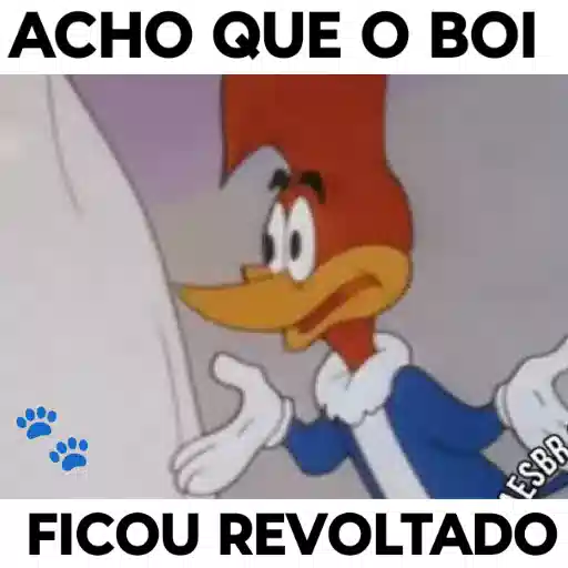 Figurinha: Pica-Pau Acha Que o Boi Ficou Revoltado