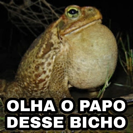 Figurinha: Olha o papo desse bicho