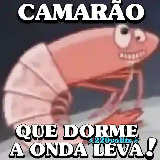 Figurinha: Camarão que dorme a onda leva