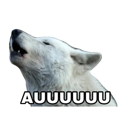 Figurinha: Cachorro uivando AUUUUU
