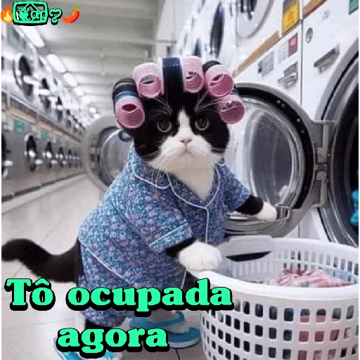 Figurinha: Gata de Pijama na Lavanderia
