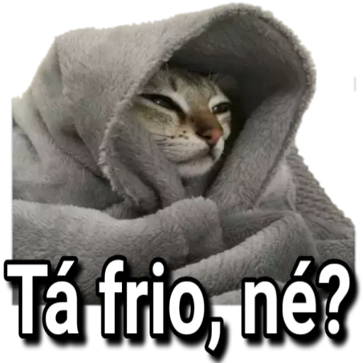Figurinha: Gatinho com frio