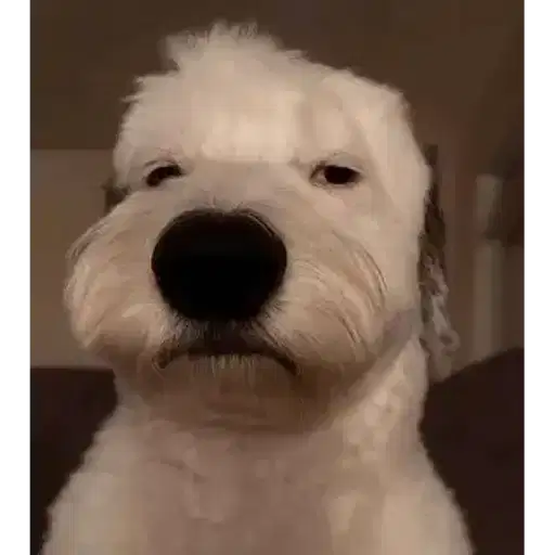 Figurinha: Cachorro bravo