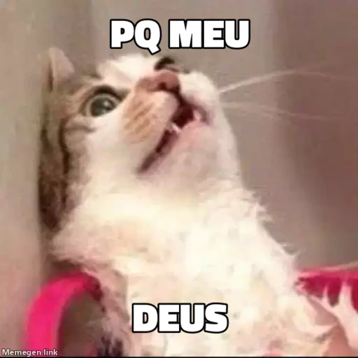 Figurinha: pq meu deus