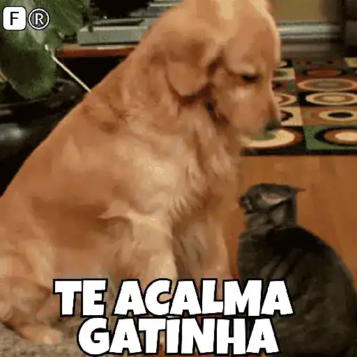 Figurinha: Cachorro conforta gatinha
