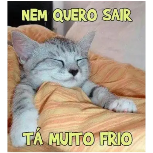 Figurinha: Gatinho com frio