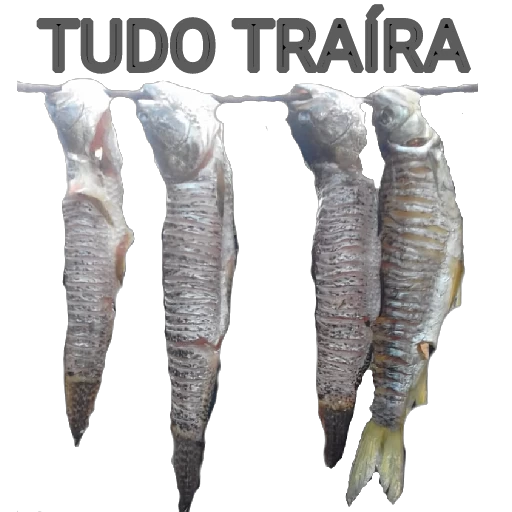 Figurinha: Peixes Pendurados "Tudo Traíra"