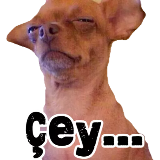 Figurinha: Cachorro fazendo cara de deboche