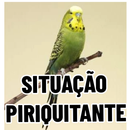 Figurinha: Situação Piriquitante