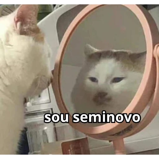 Figurinha: gato se olhando no espelho