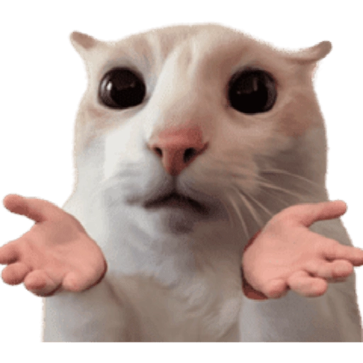 Figurinha: Gato com expressão de quem não sabe