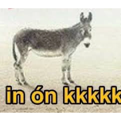 Figurinha: Burro