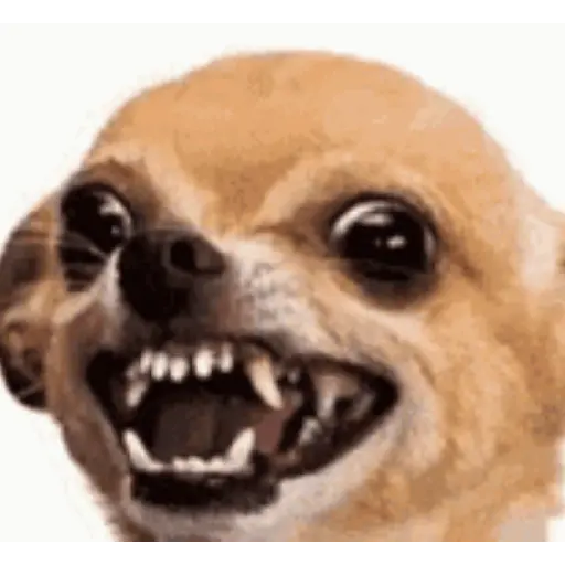Figurinha: Cachorro Sorrindo Assustador