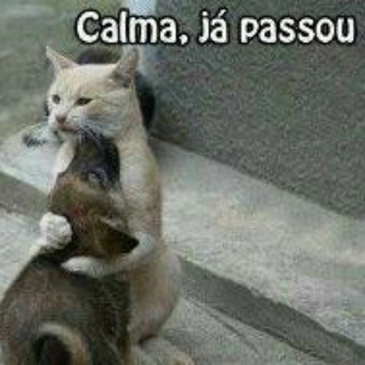 Figurinha: Gato abraçando cão