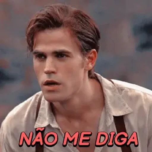 Figurinha: Stefan Salvatore - Não me diga