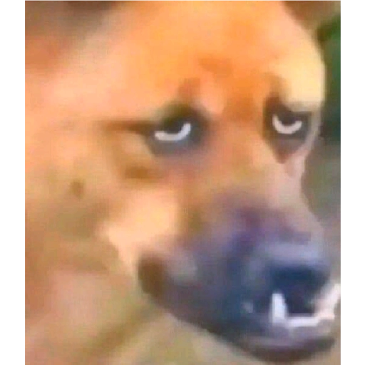 Figurinha: Cachorro triste