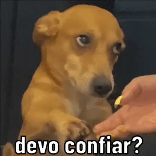 Figurinha: Cachorro desconfiado