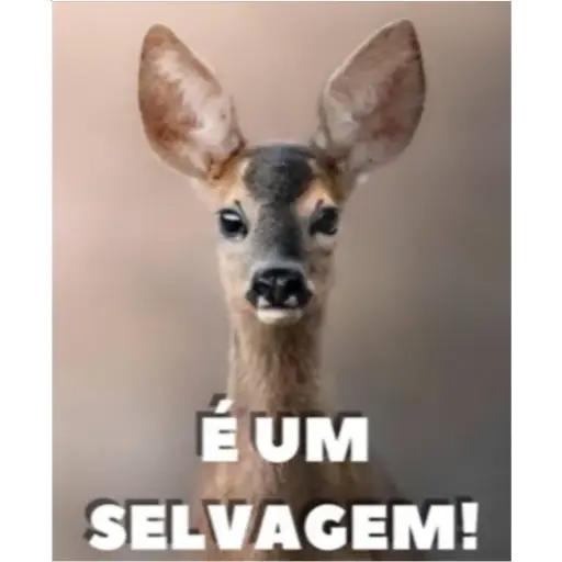Figurinha: Veado selvagem!