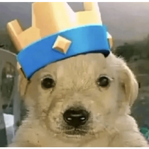 Figurinha: Cachorrinho Rei