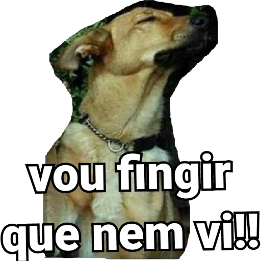 Figurinha: Cachorro: vou fingir que nem vi!!