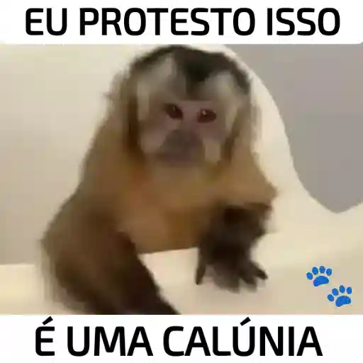 Figurinha: Macaco: Eu protesto isso!