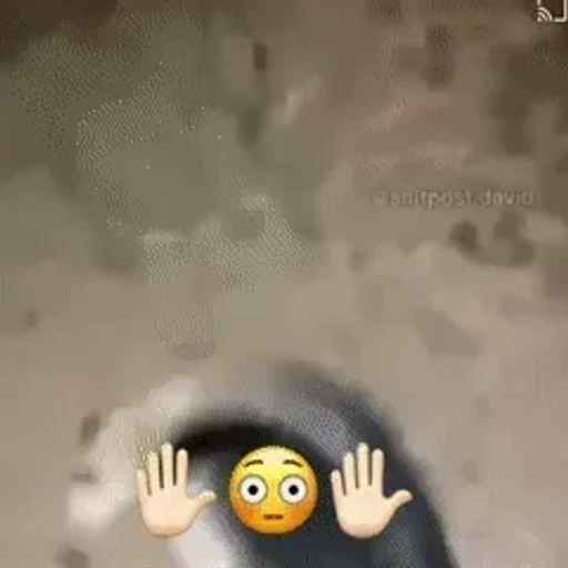 Figurinha: Tamanduá Dando Um Show