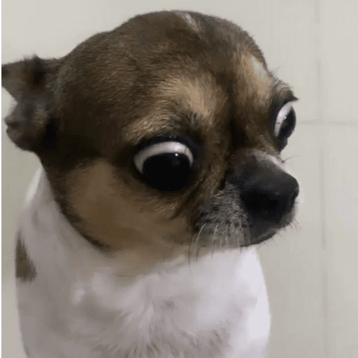 Figurinha: Cachorro assustado