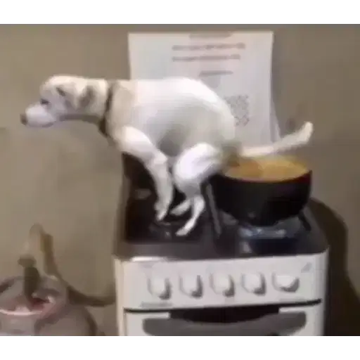 Figurinha: Cachorro fazendo cocô na panela