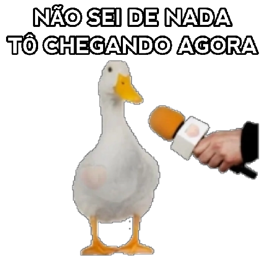 Figurinha: Pato entrevistado