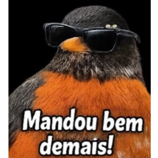 Figurinha: Mandou bem demais!