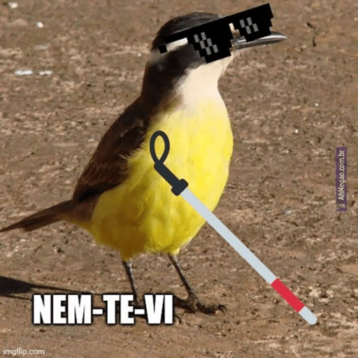 Figurinha: Pássaro com óculos e bengala