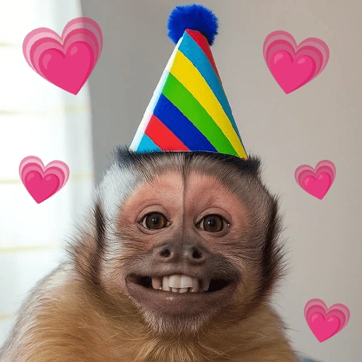 Figurinha: Macaco de Aniversário