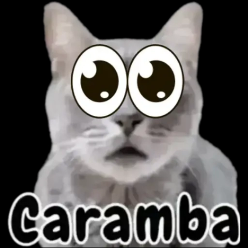 Figurinha: Gato Caramba