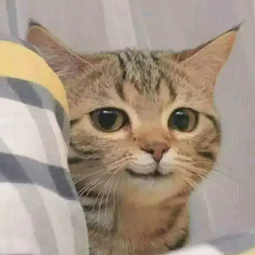 Figurinha: Gato Sendo Observado