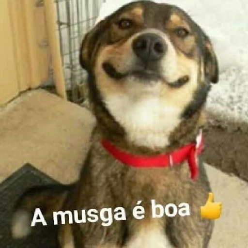 Figurinha: Cachorro Sorrindo