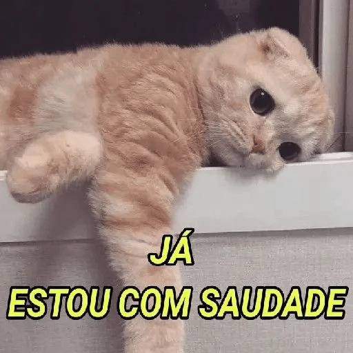 Figurinha: Gatinho com saudade