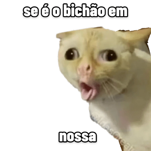Figurinha: Gato chocado "se é o bichão"