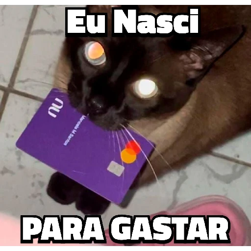 Figurinha: Gato com cartão roxo